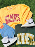 Yellow sweatshirt with 'WILDCATS' text, green shirt with 'HORNETS' text, white sneakers, and blue shorts on grass.